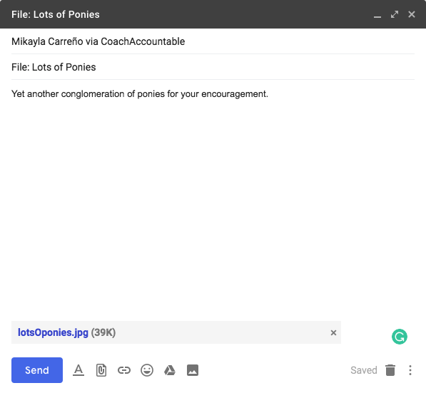 CoachAccountable coaching client file upload