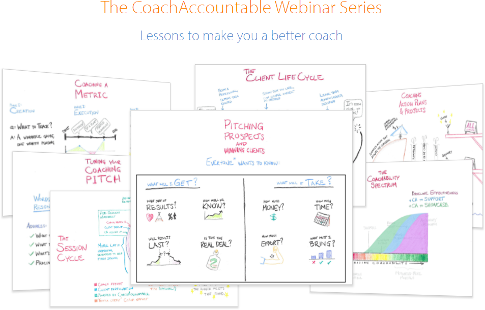 The Webinar Series
